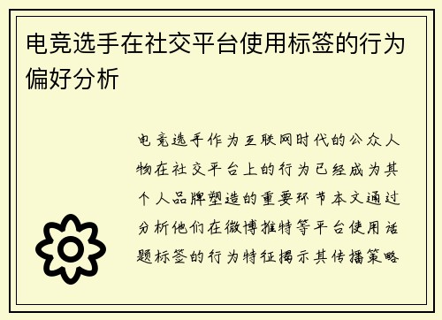 电竞选手在社交平台使用标签的行为偏好分析